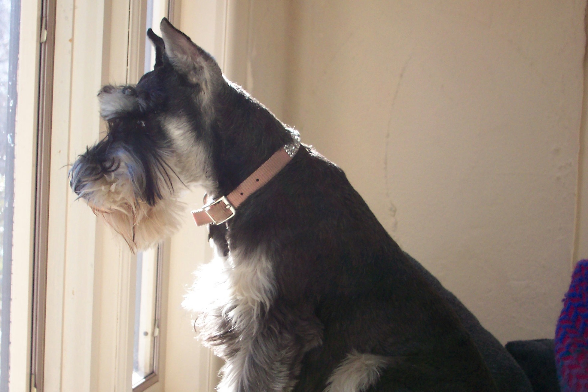 Pensive Moments