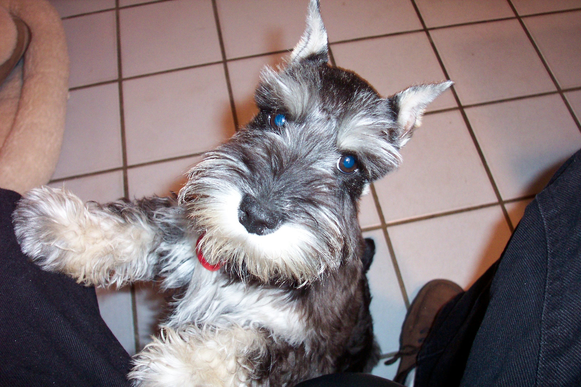 At six-months old